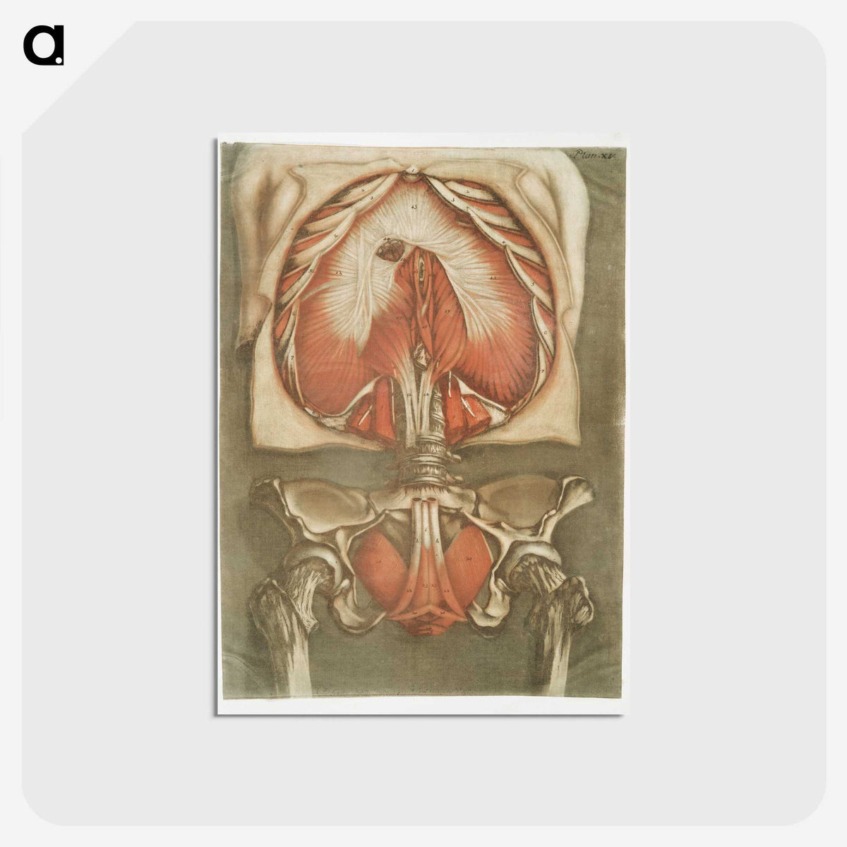 1-11_Arnauld-Eloi-Gautier-Dagoty_postcard