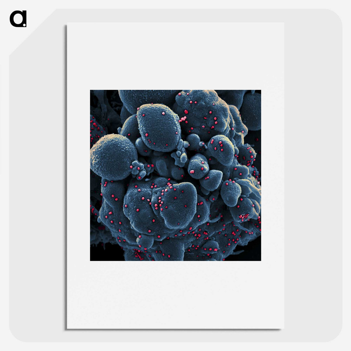 1-11_COVID-19_picture