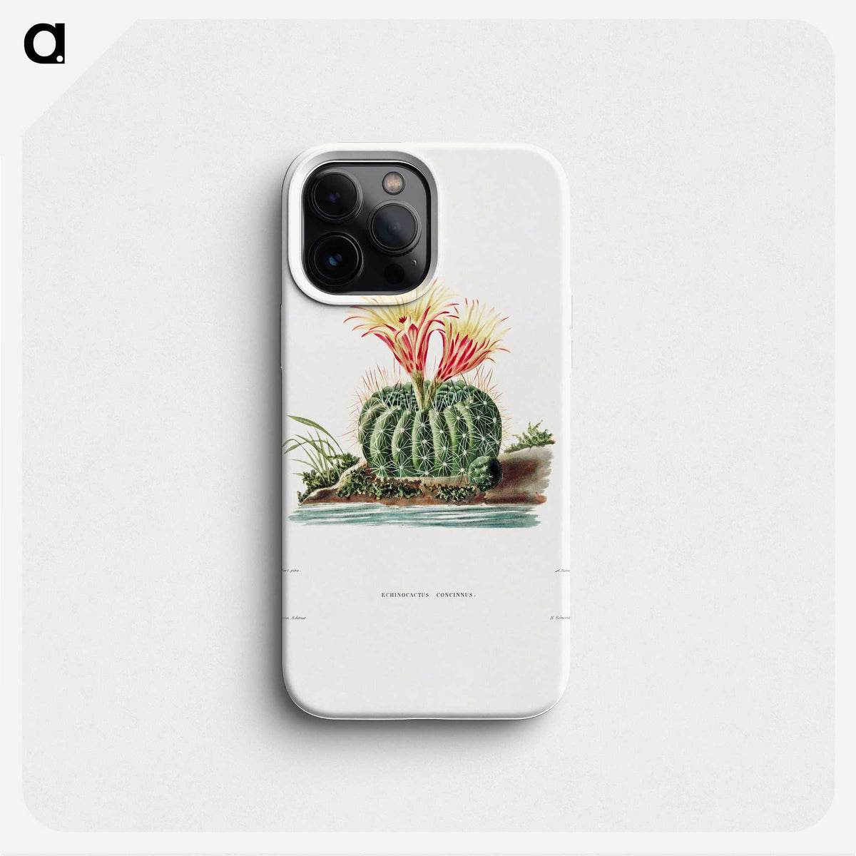 1-11_Charles-Antoine-Lemaire_phone