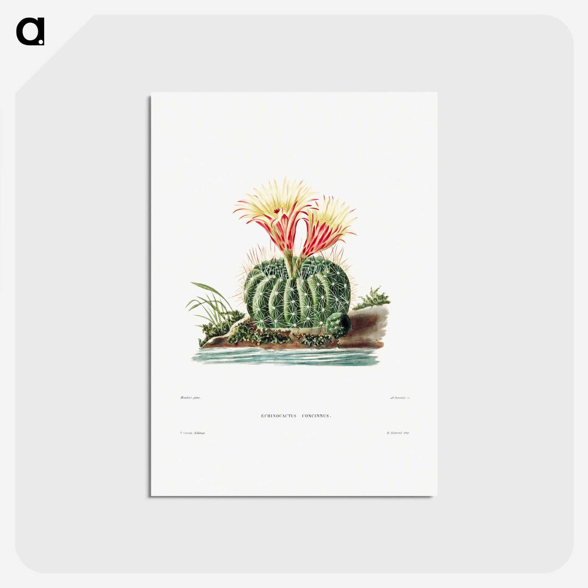1-11_Charles-Antoine-Lemaire_postcard