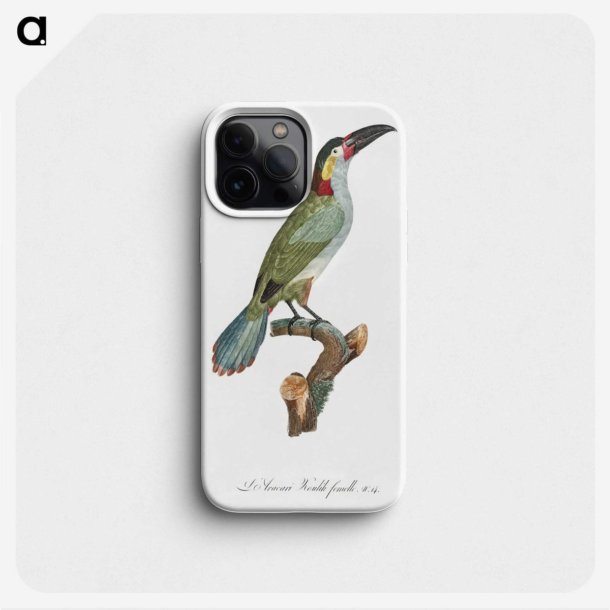 1-11_Des-Oiseaux-de-Paradis_phone