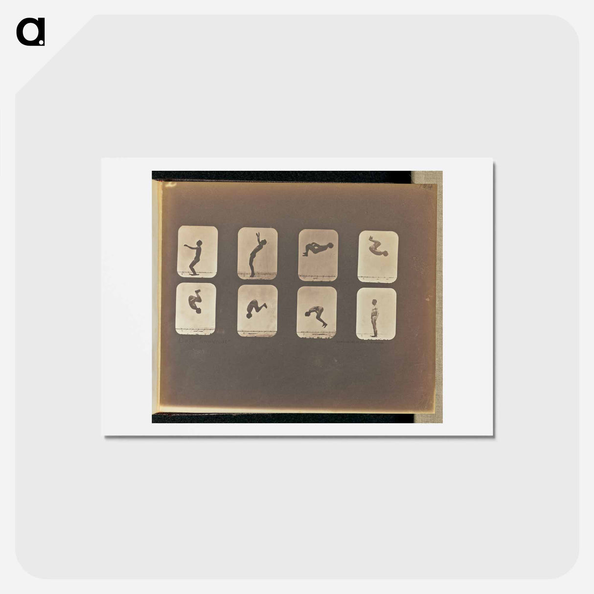 アートポストカード-Back Somersault
- エドワード マイブリッジ Postcard.