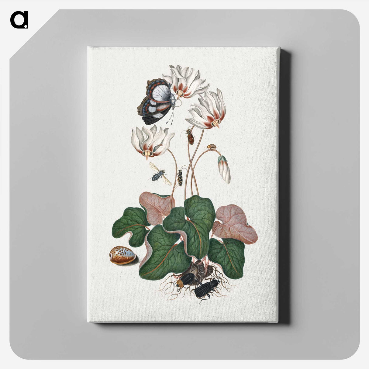 1-11_James-Bolton_canvas