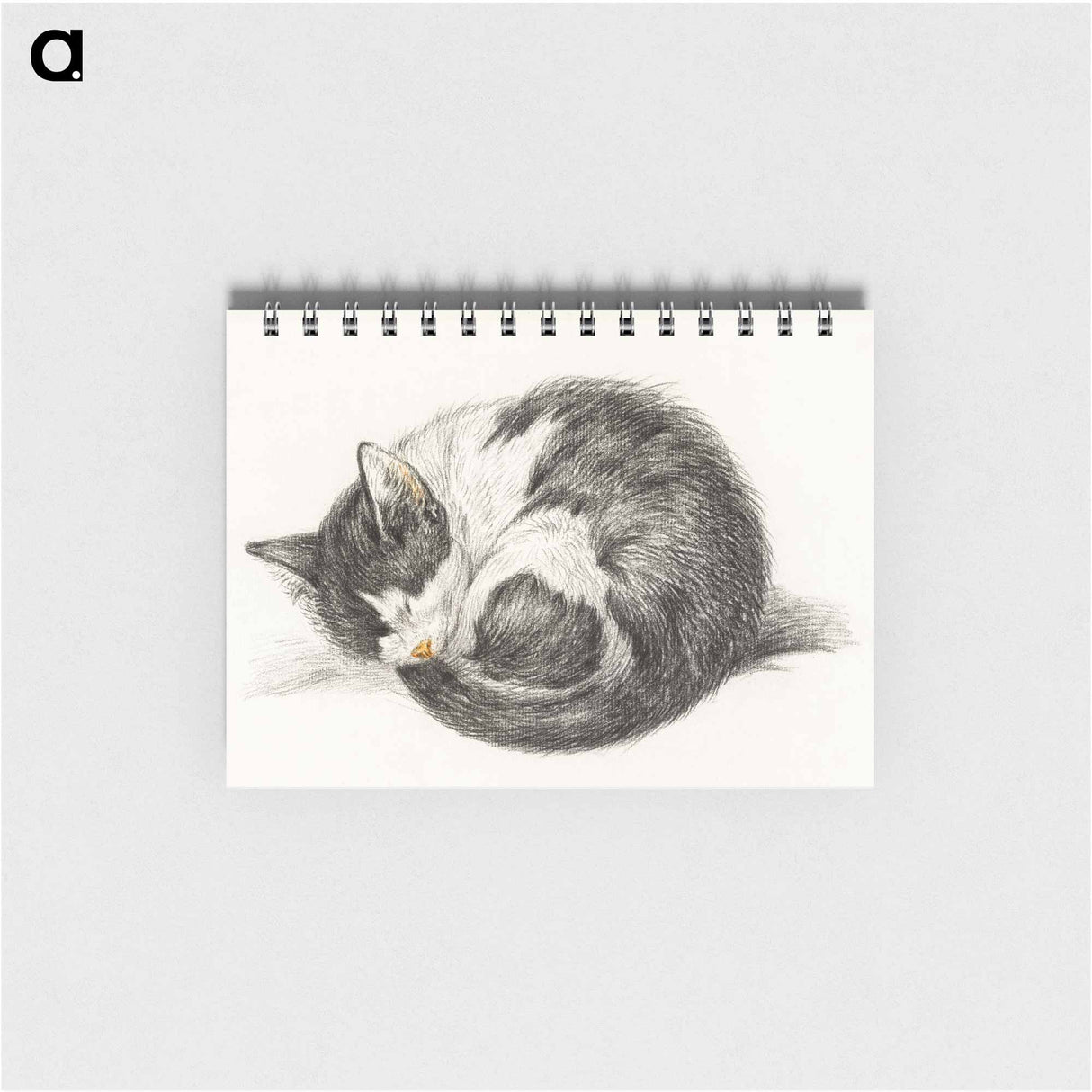 Rolled up lying sleeping cat - ジャン ベルナール Memo.