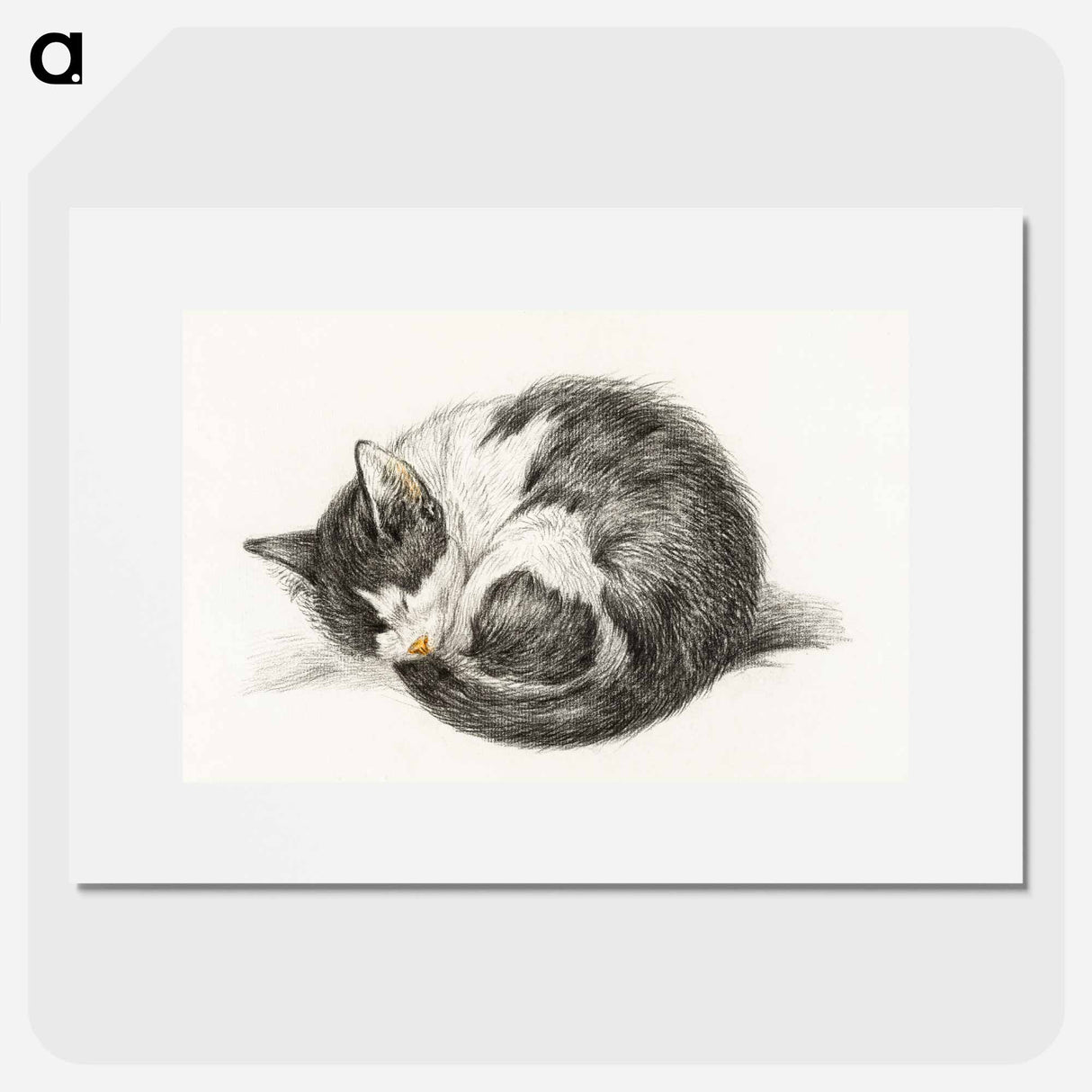 Rolled up lying sleeping cat - ジャン ベルナール Poster.