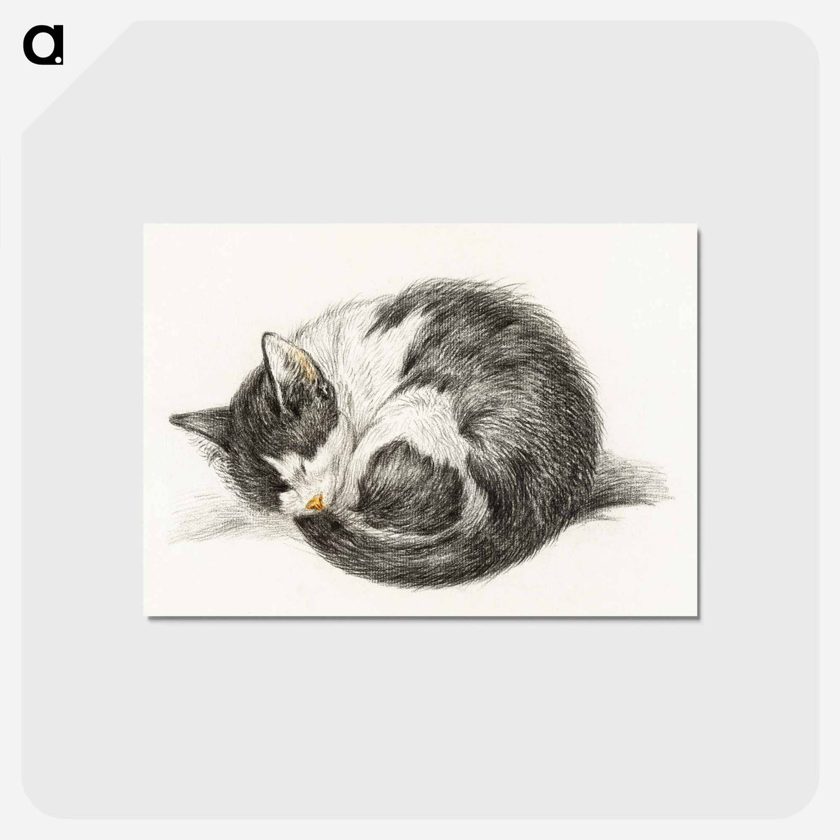 アートポストカード-Rolled up lying sleeping cat - ジャン ベルナール Postcard.