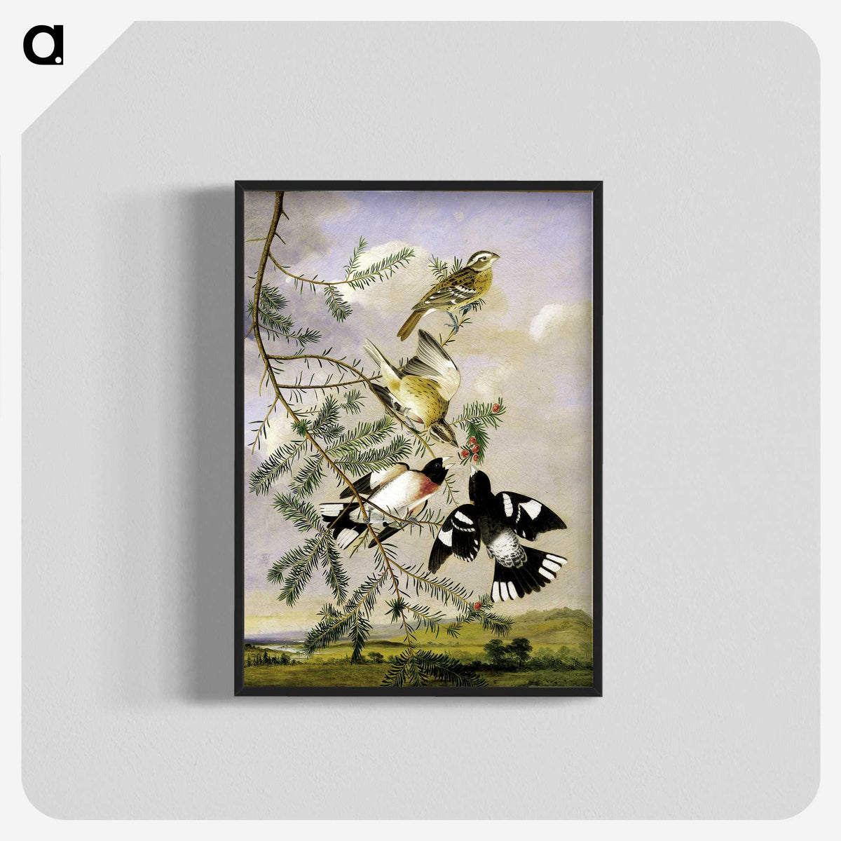 1-11_John-James-Audubon_blk-crop