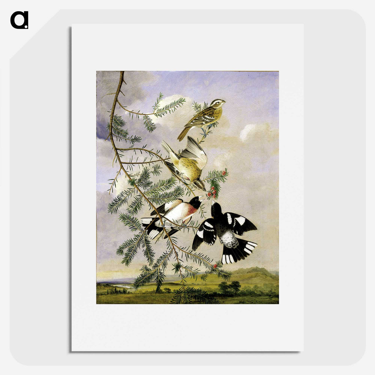 1-11_John-James-Audubon_picture