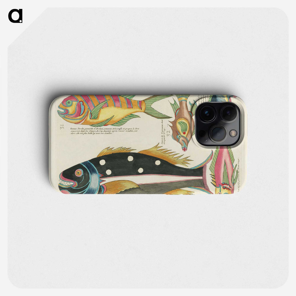 1-11_Louis-Renard_phone