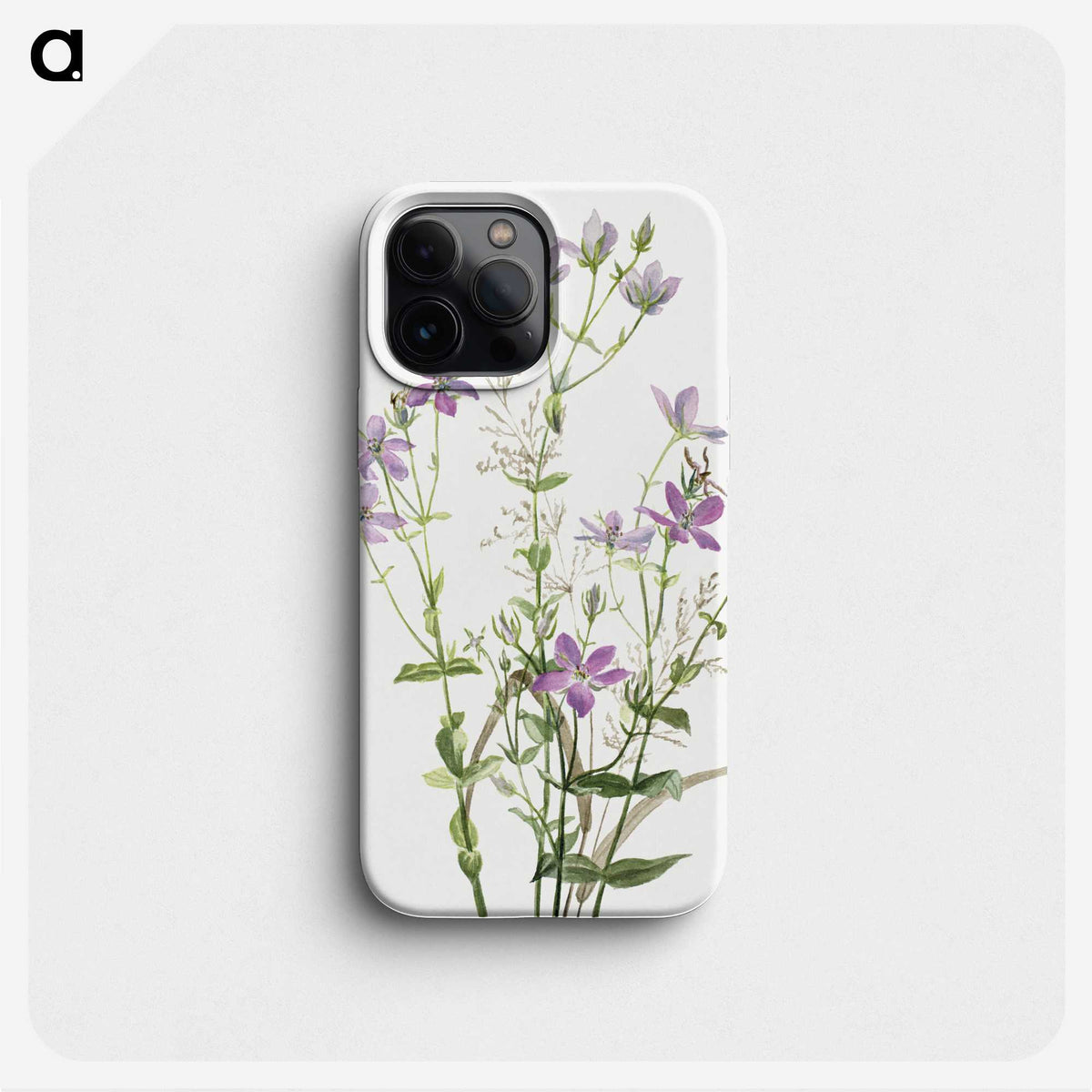 1-11_Mary-Vaux-Walcott_phone