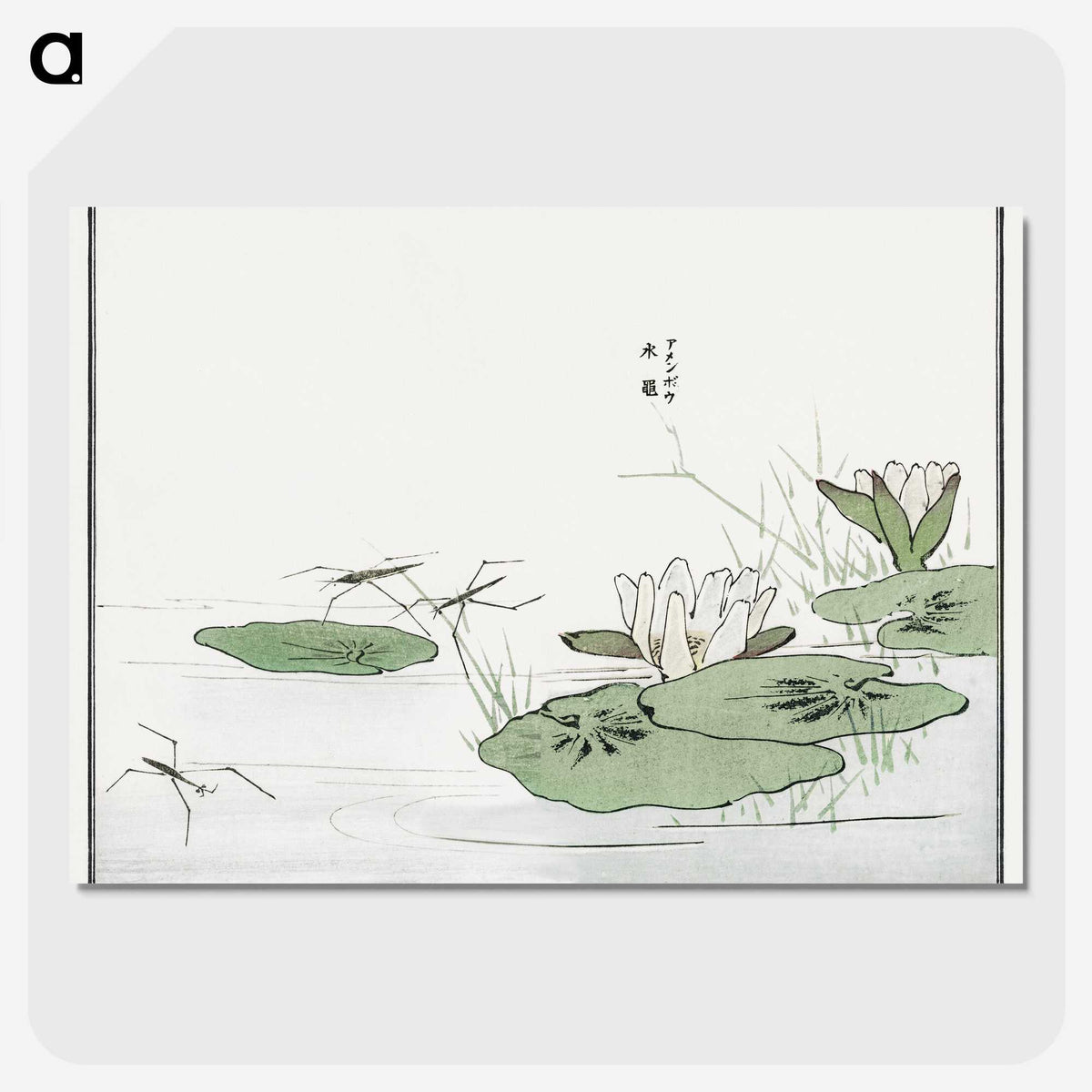 1-11_Morimoto-Tokaku_picture-crop