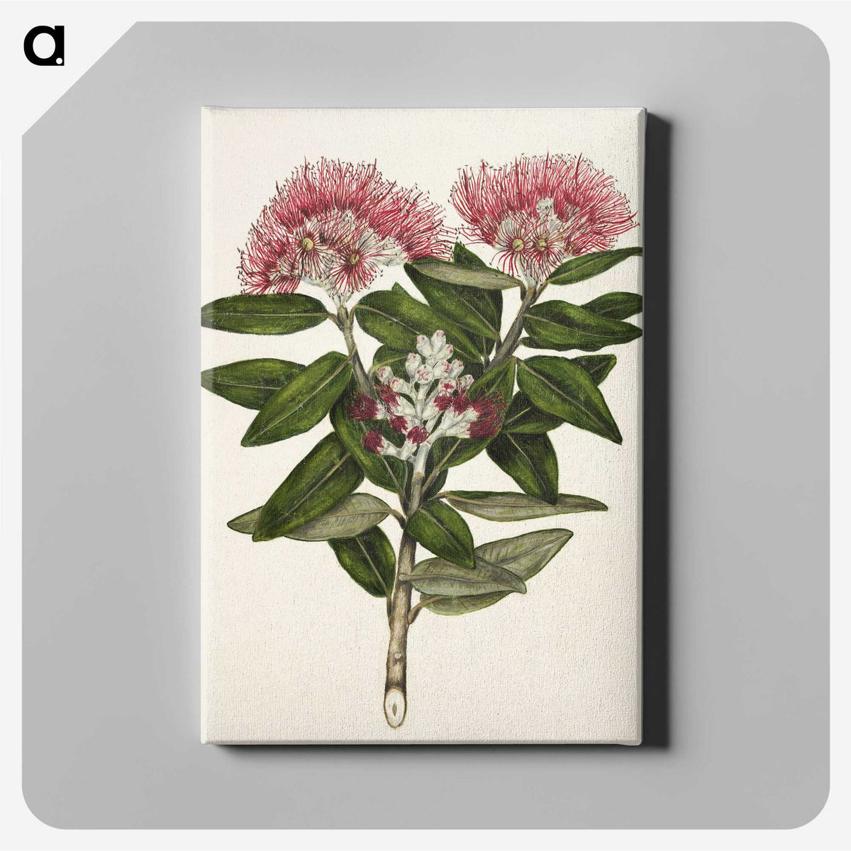 1-11_Native-Flowering-Plants-of-New-Zealand_canvas