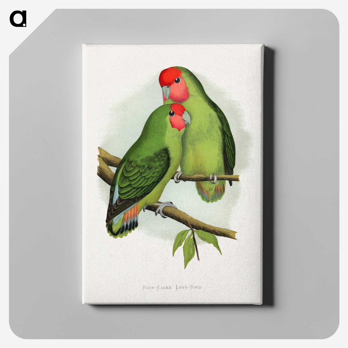1-11_Parrots-in-Captivity_canvas