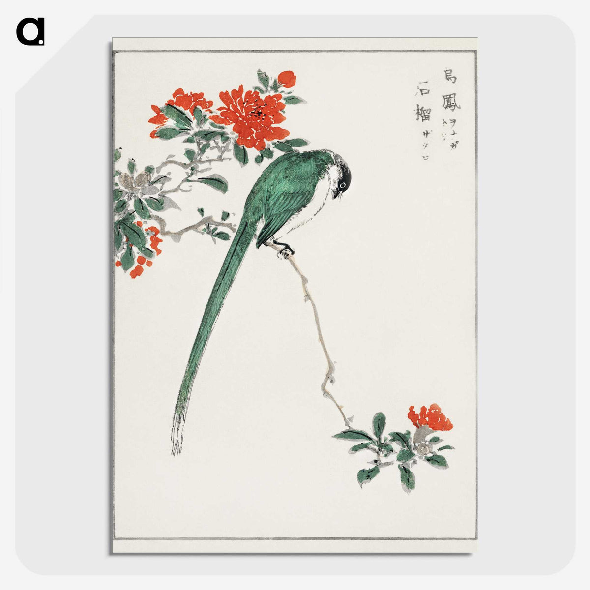 1-11_Pictorial-Monograph-of-Birds_picture-crop