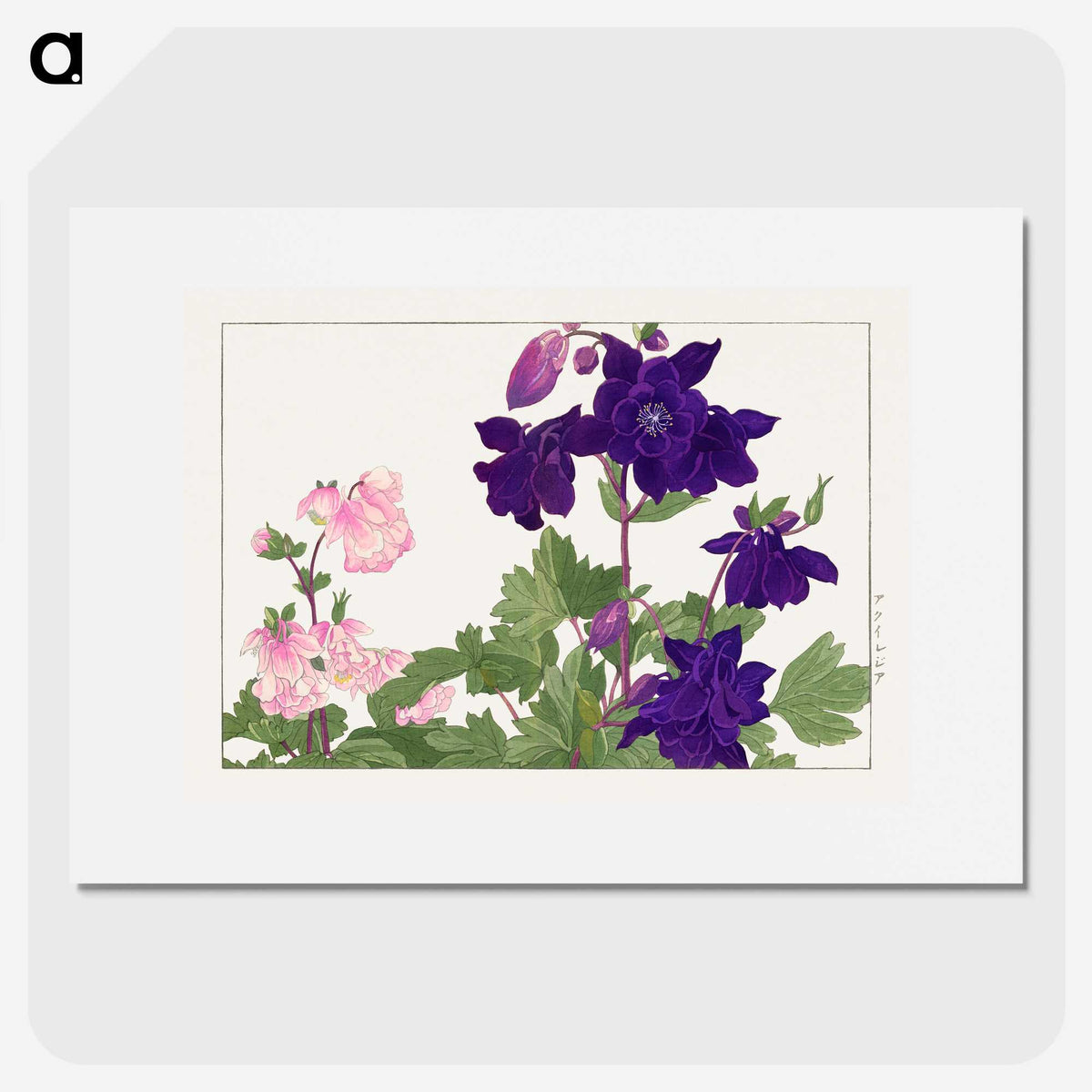 1-11_Seiyo-Soka-Zufu_picture
