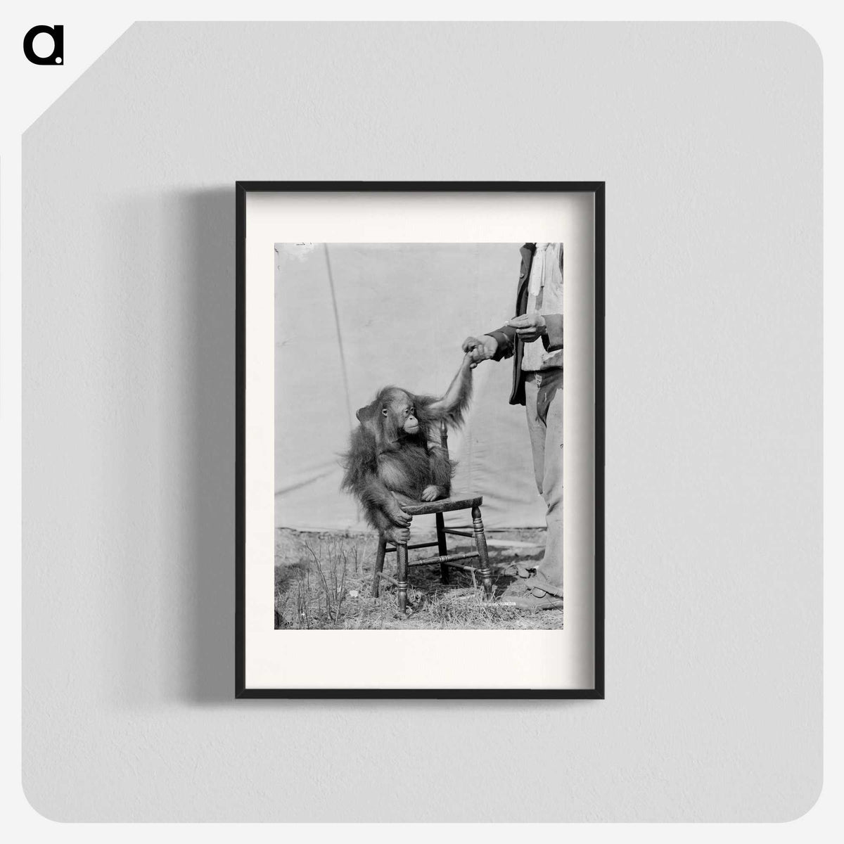 1-11_The-Burton-Brothers_blk