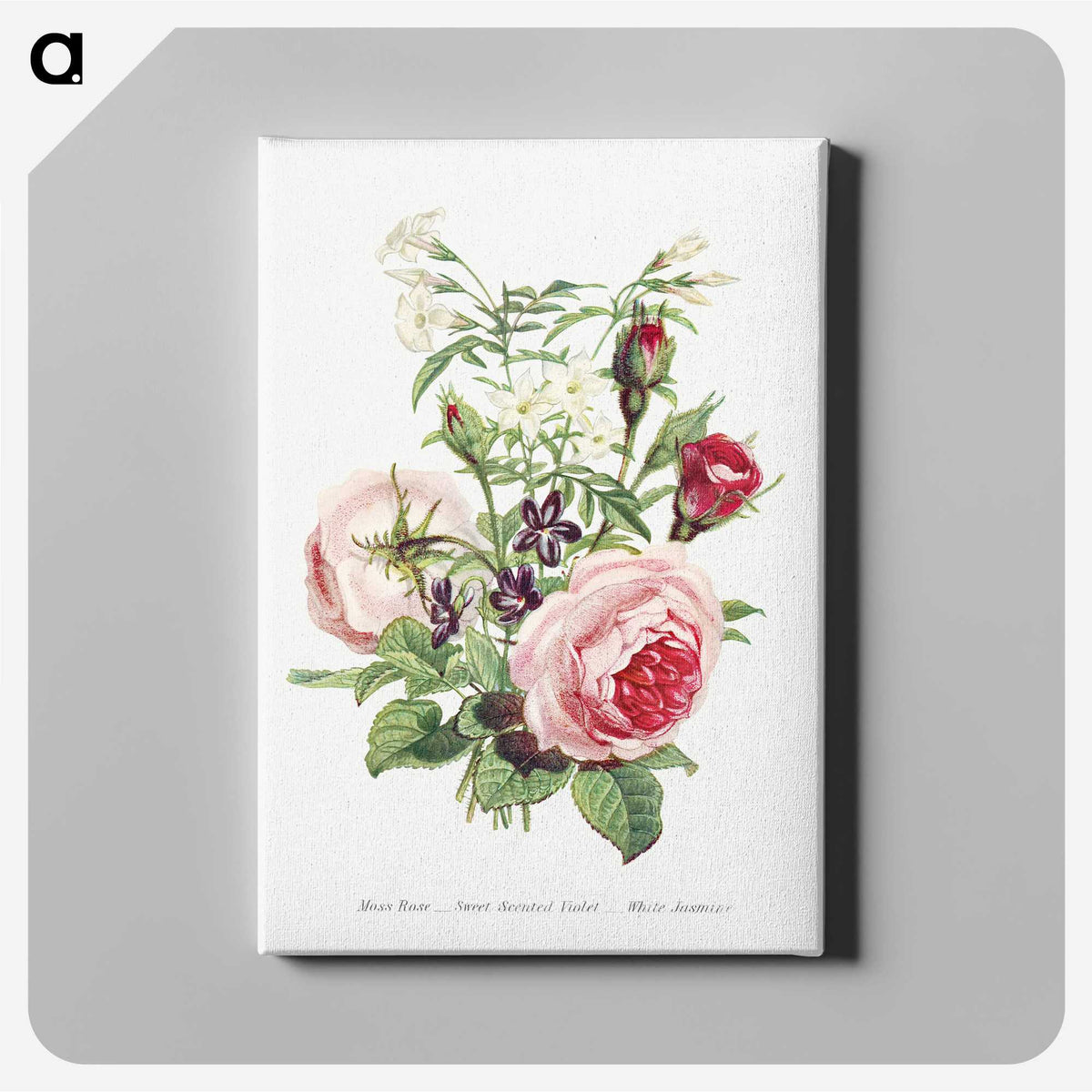 1-11_The-Language-of-Flowers_canvas