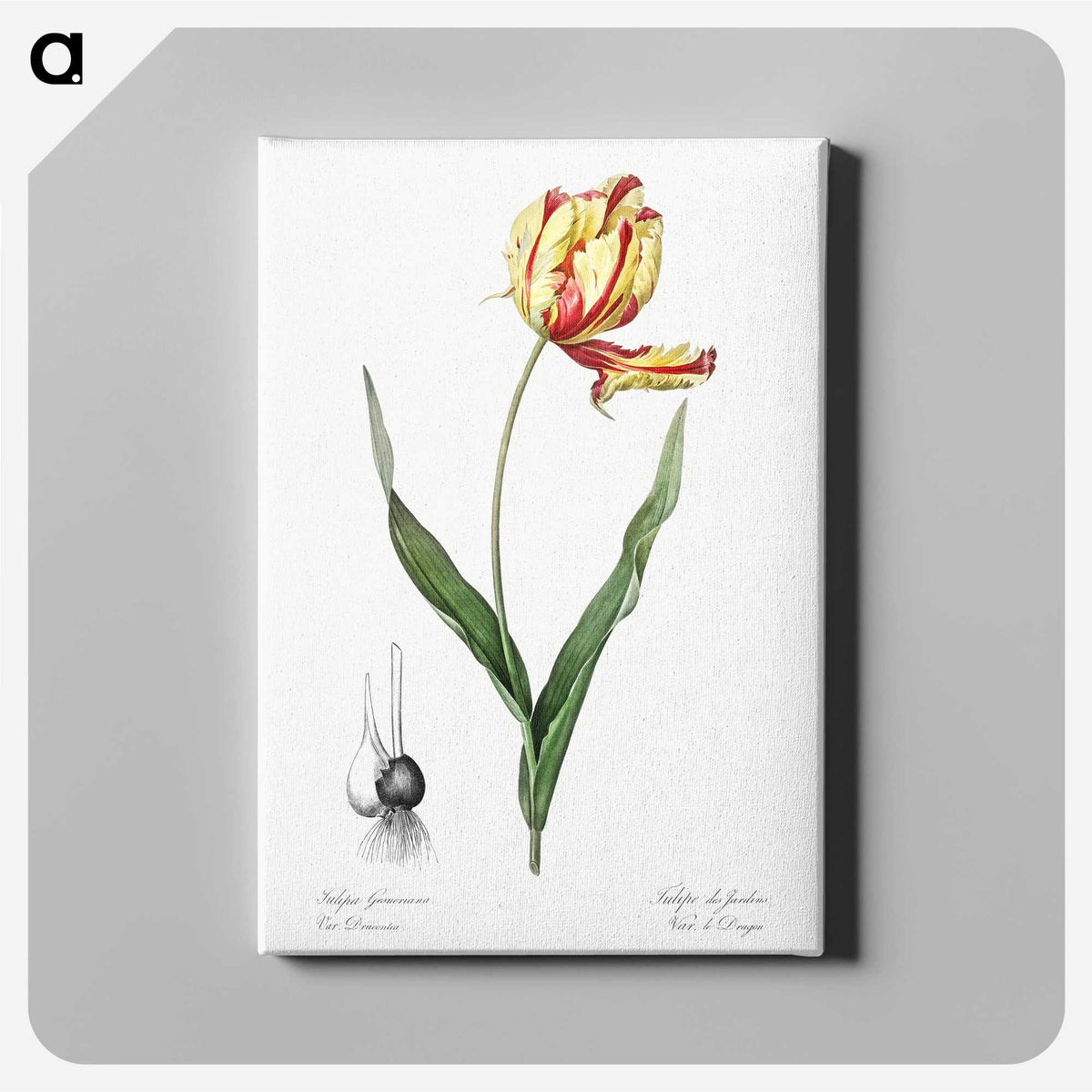 1-11_The-Lilies_canvas