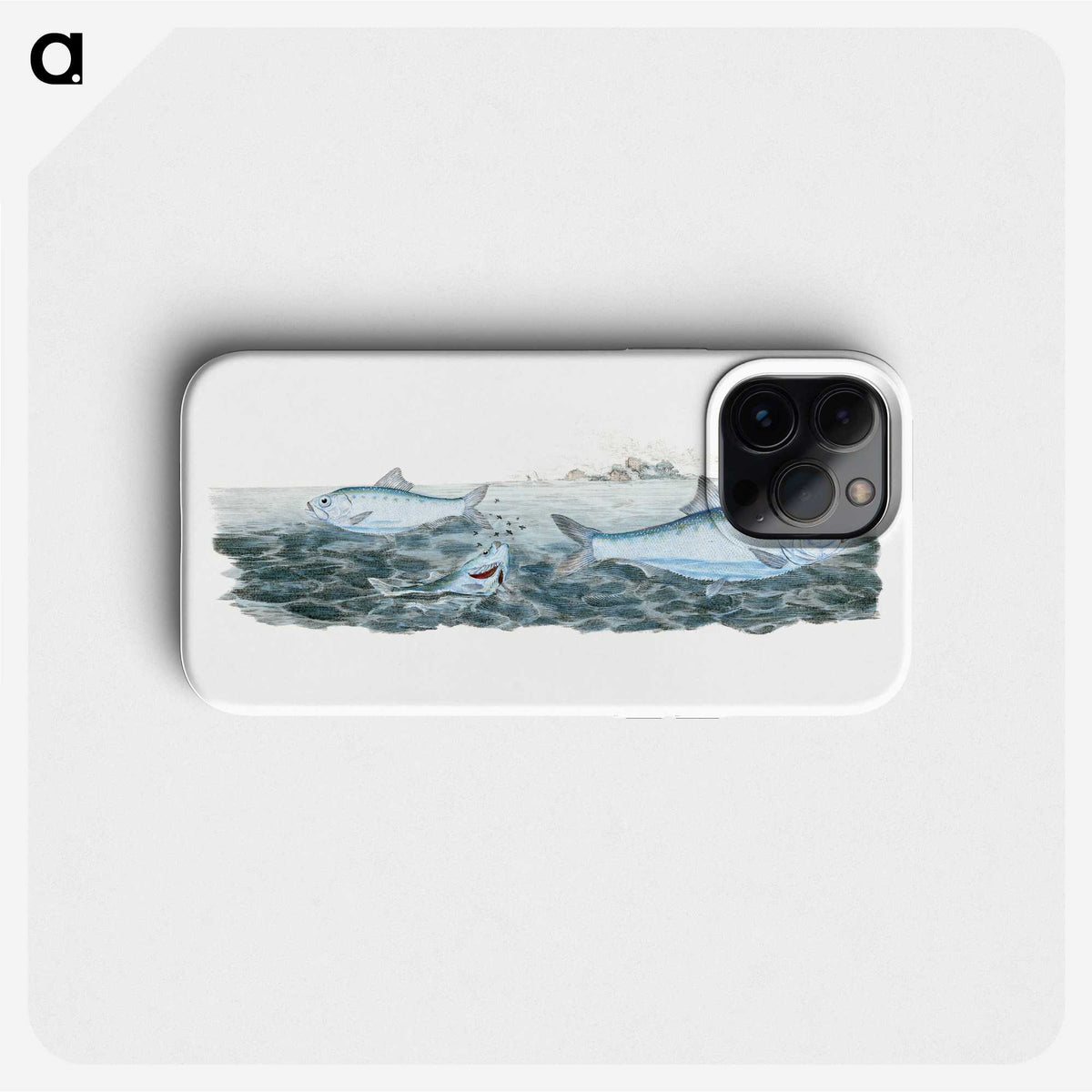 1-11_The-Natural-History-of-British-Fishes_phone