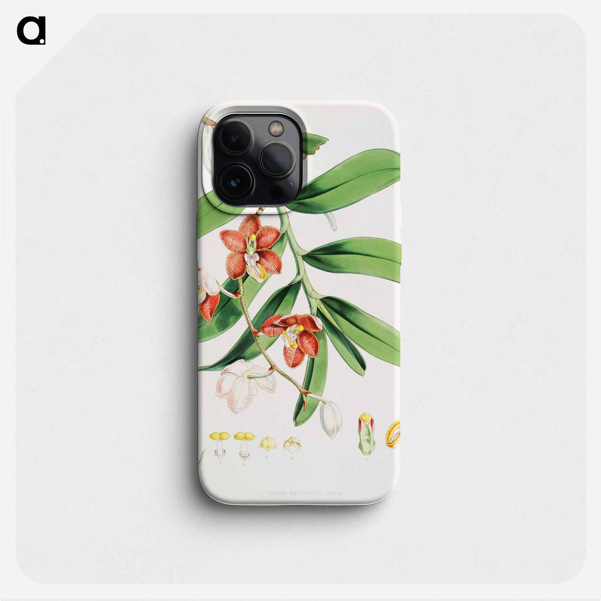 Vanda Cathcarti - Walter Hood Fitch Phone Case.