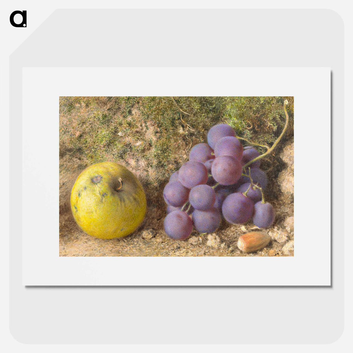 アートポスター-Apple, Grapes and a Cob-Nut - ウィリアム ヘンリー ハント Poster.