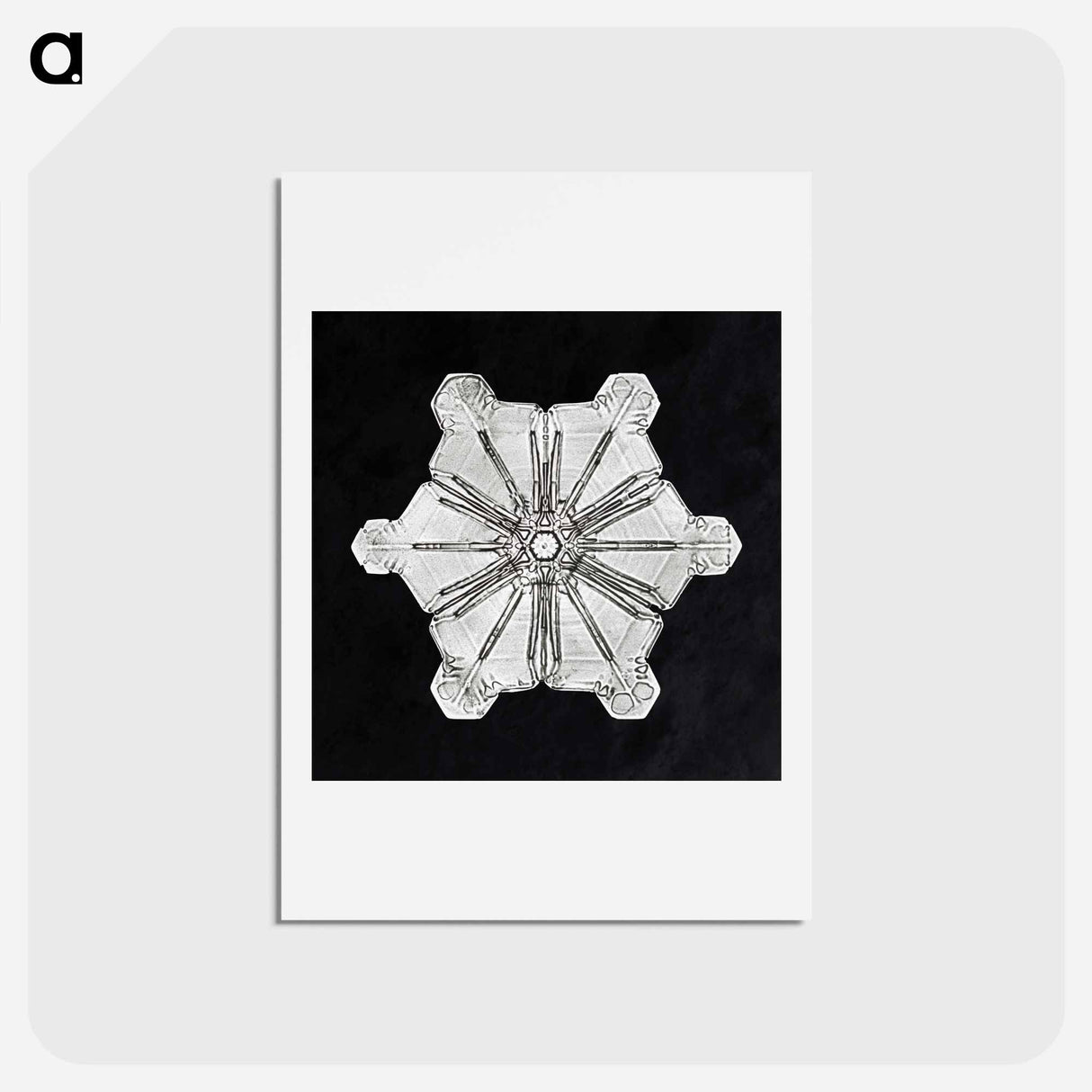 アートポストカード-Wilson Bentley's Snowflake 976 - ウィルソン ベントレー Postcard.