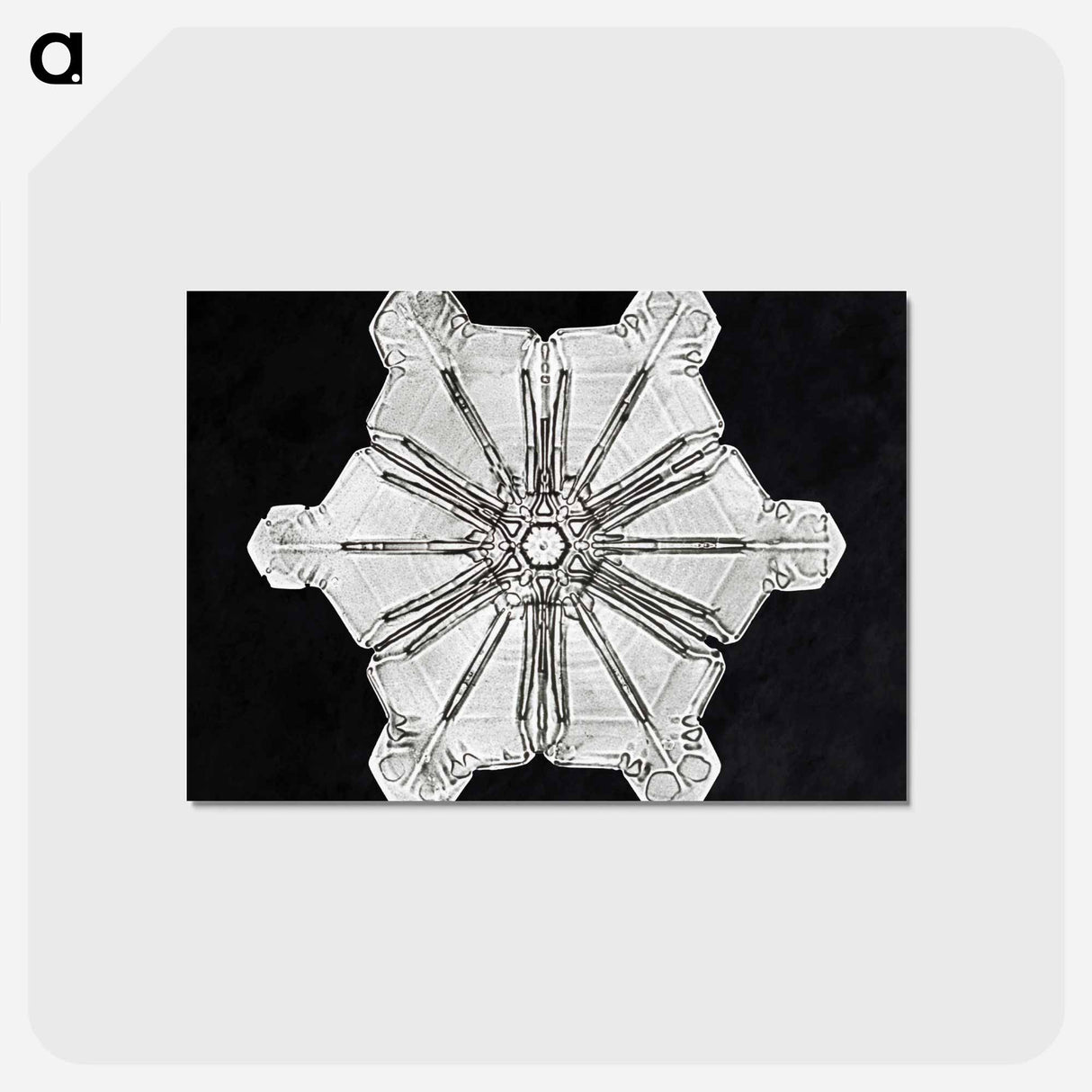 アートポストカード-Wilson Bentley's Snowflake 976 - ウィルソン ベントレー Postcard.
