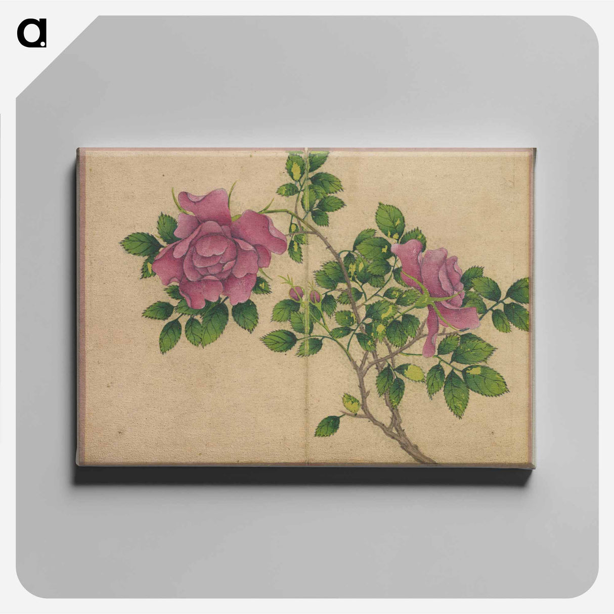 Rose - Zhang Ruoai Canvas.