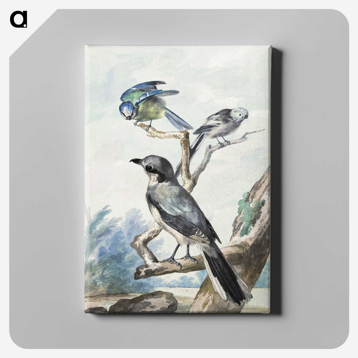1-12_Aert-Schouman_canvas