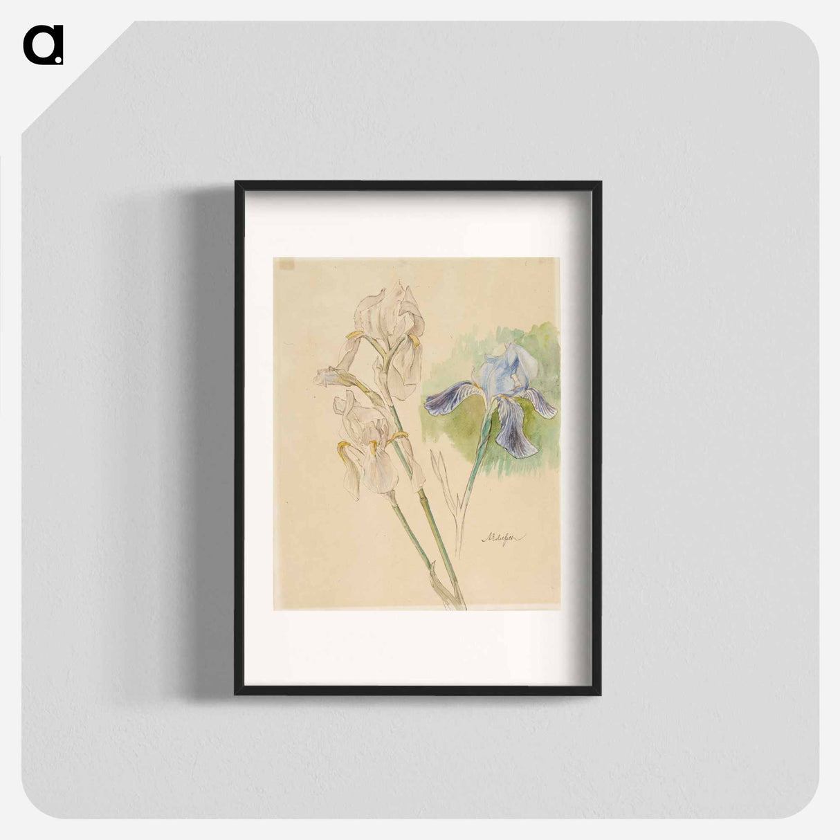 Flower studies - アルバート エーデルフェルト Poster.