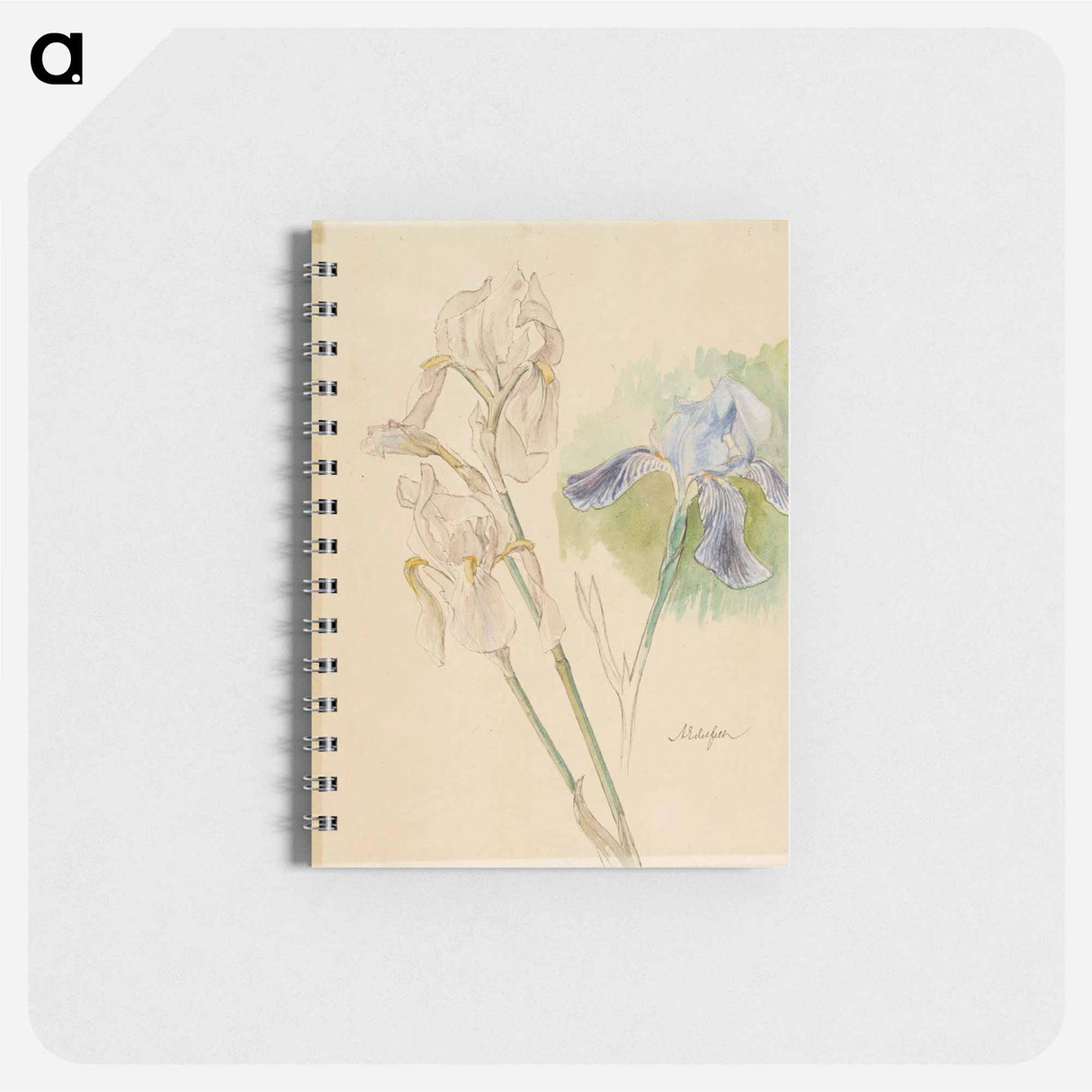 Flower studies - アルバート エーデルフェルト Memo.