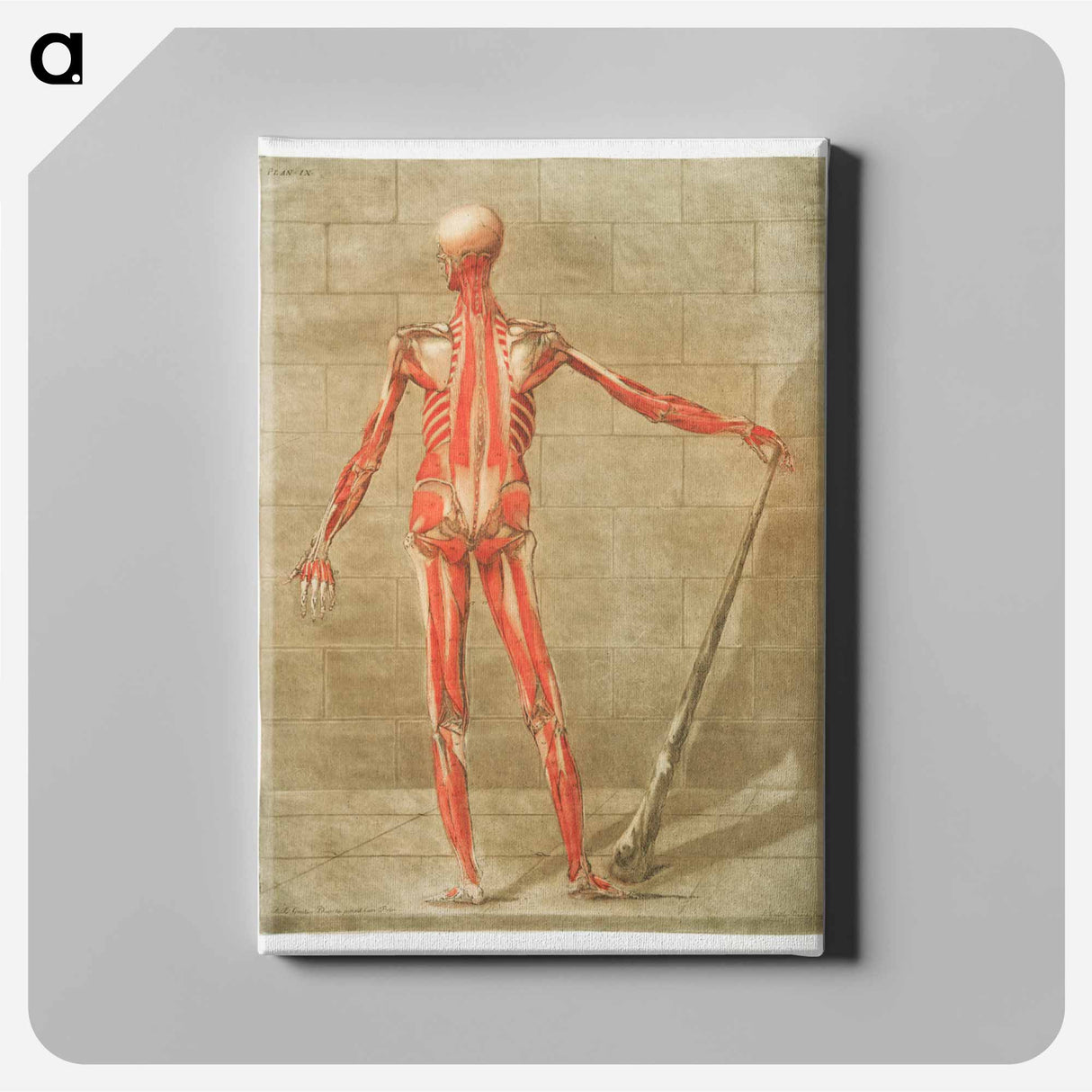 This fascinating collection of anatomical illustrations - アルノルド エロイ ゴーティエ ダゴティ Canvas.