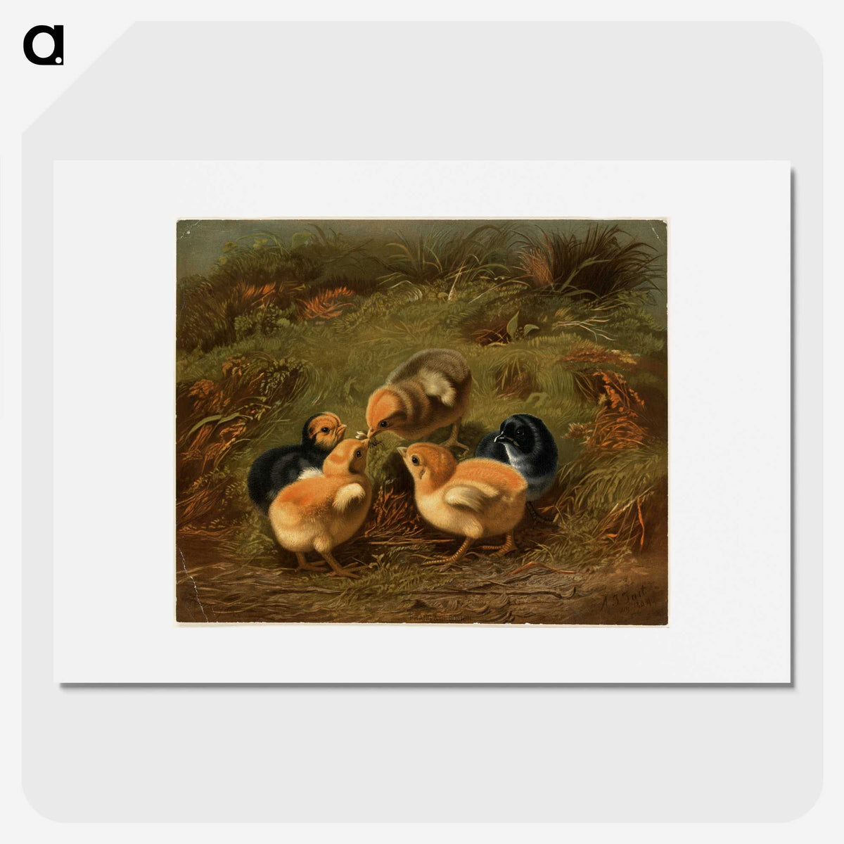 1-12_Arthur-Fitzwilliam-Tait_picture