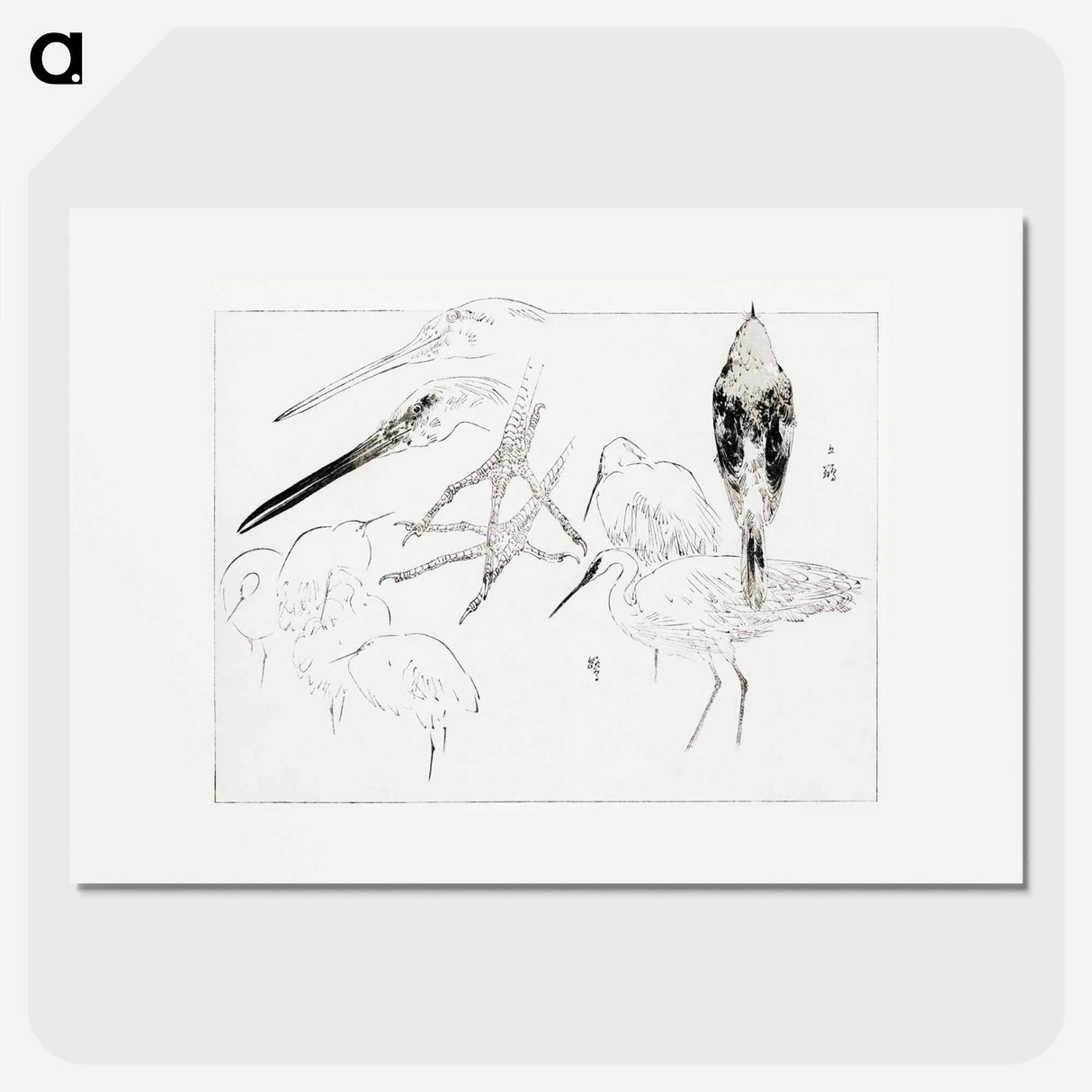 アートポスター-Little Egret and Daurian Redstart
- 美術世界 Poster.