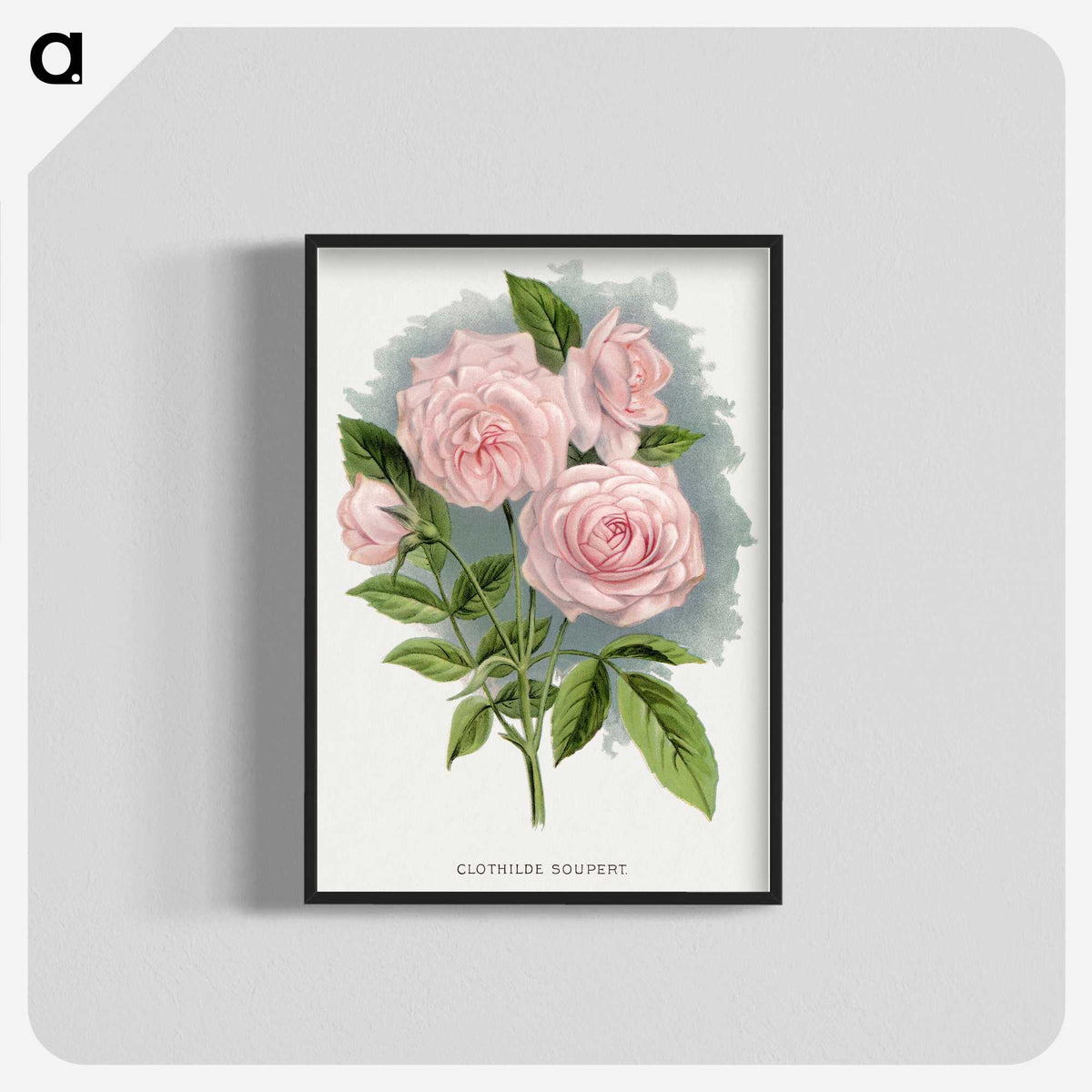1-12_Botanical-Specimen-Plates_blk-crop