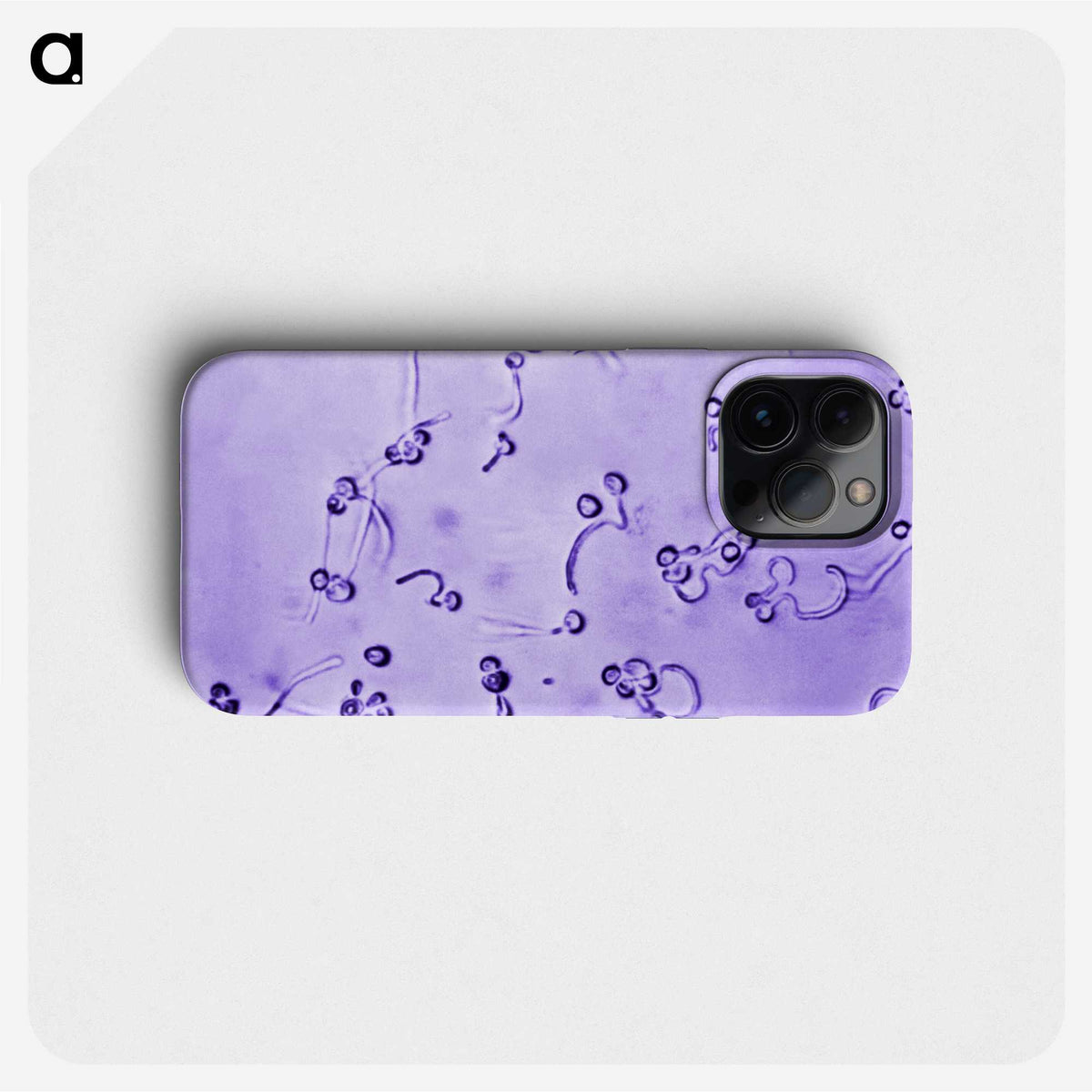 1-12_COVID-19_phone