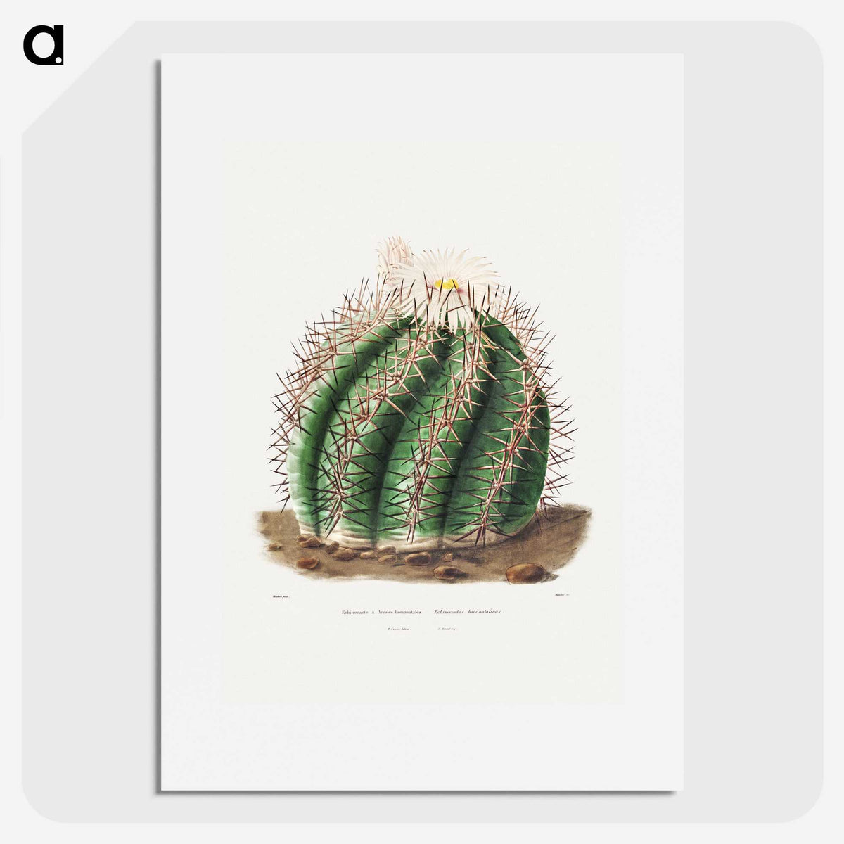 1-12_Charles-Antoine-Lemaire_picture