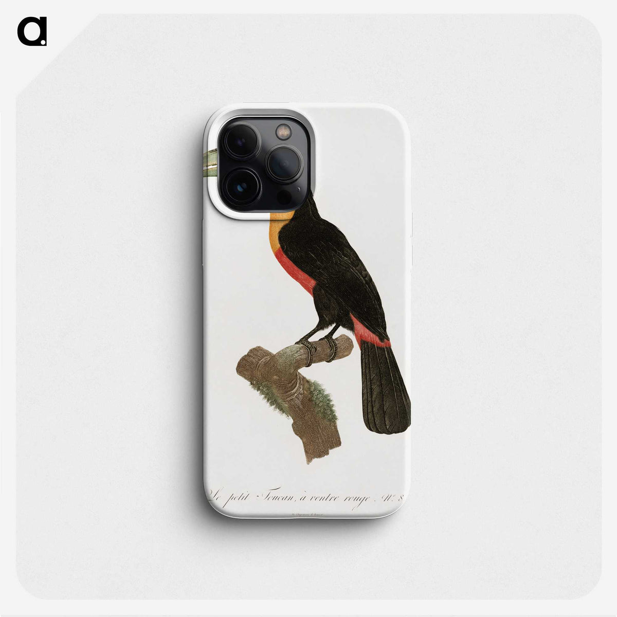 1-12_Des-Oiseaux-de-Paradis_phone
