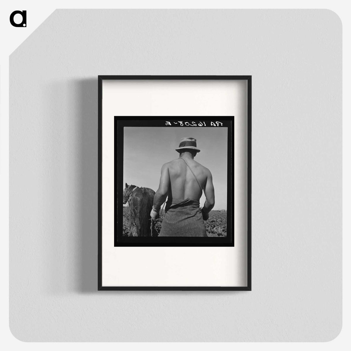 1-12_Dorothea-Lange_blk
