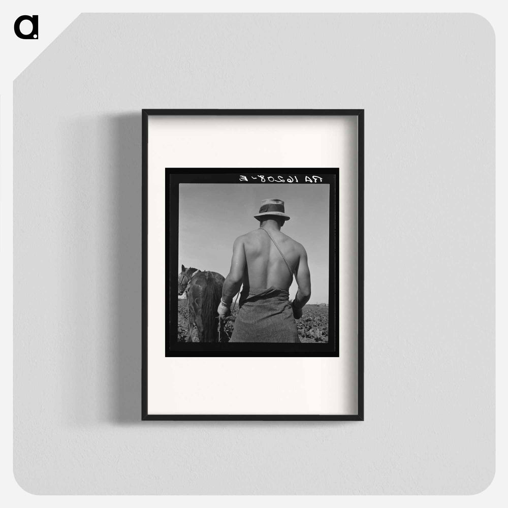 Spring plowing - Dorothea Lange Poster.