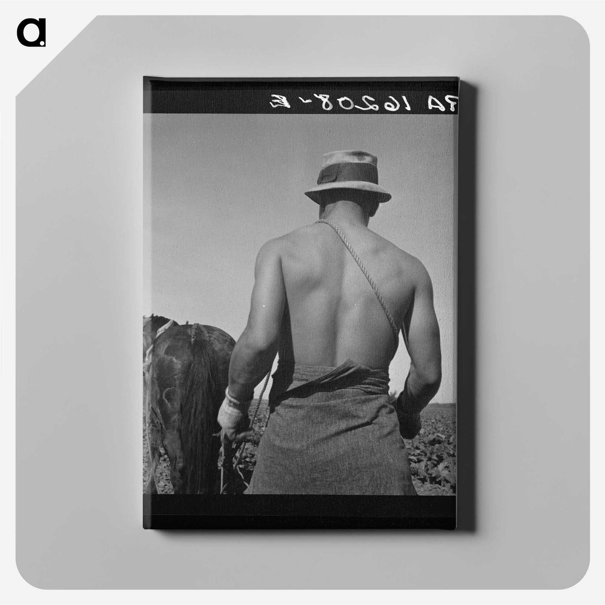 1-12_Dorothea-Lange_canvas