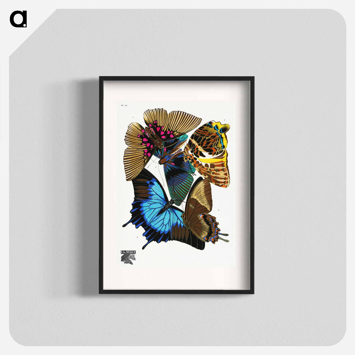 E.A. Séguy's vintage butterflies - E.A.セギー Poster.