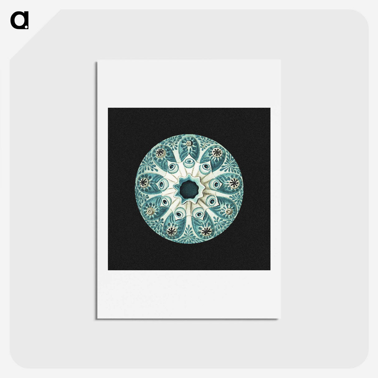 1-12_Ernst-Haeckel_hagaki