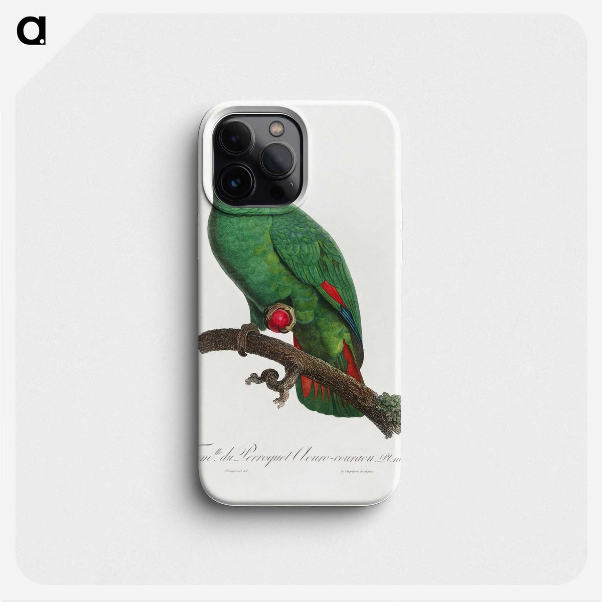 1-12_Francois-Levaillant_phone