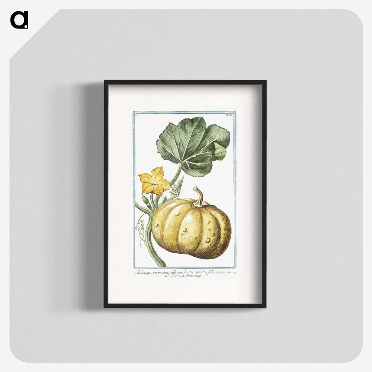 1-12_Hortus-Romanus-Botanical-Plates_blk