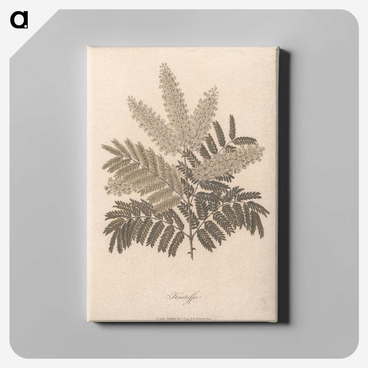 1-12_James-Heath_canvas