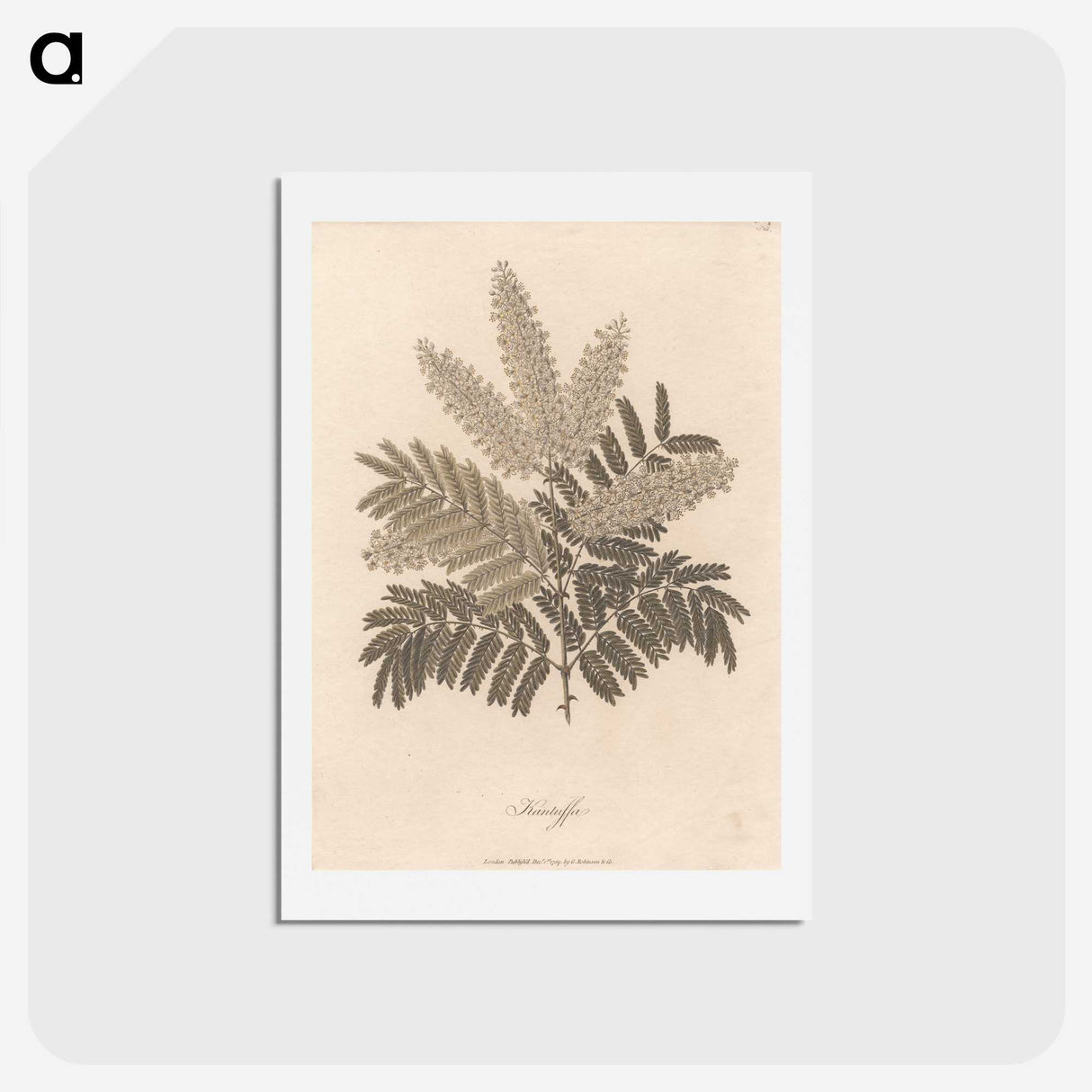 1-12_James-Heath_hagaki
