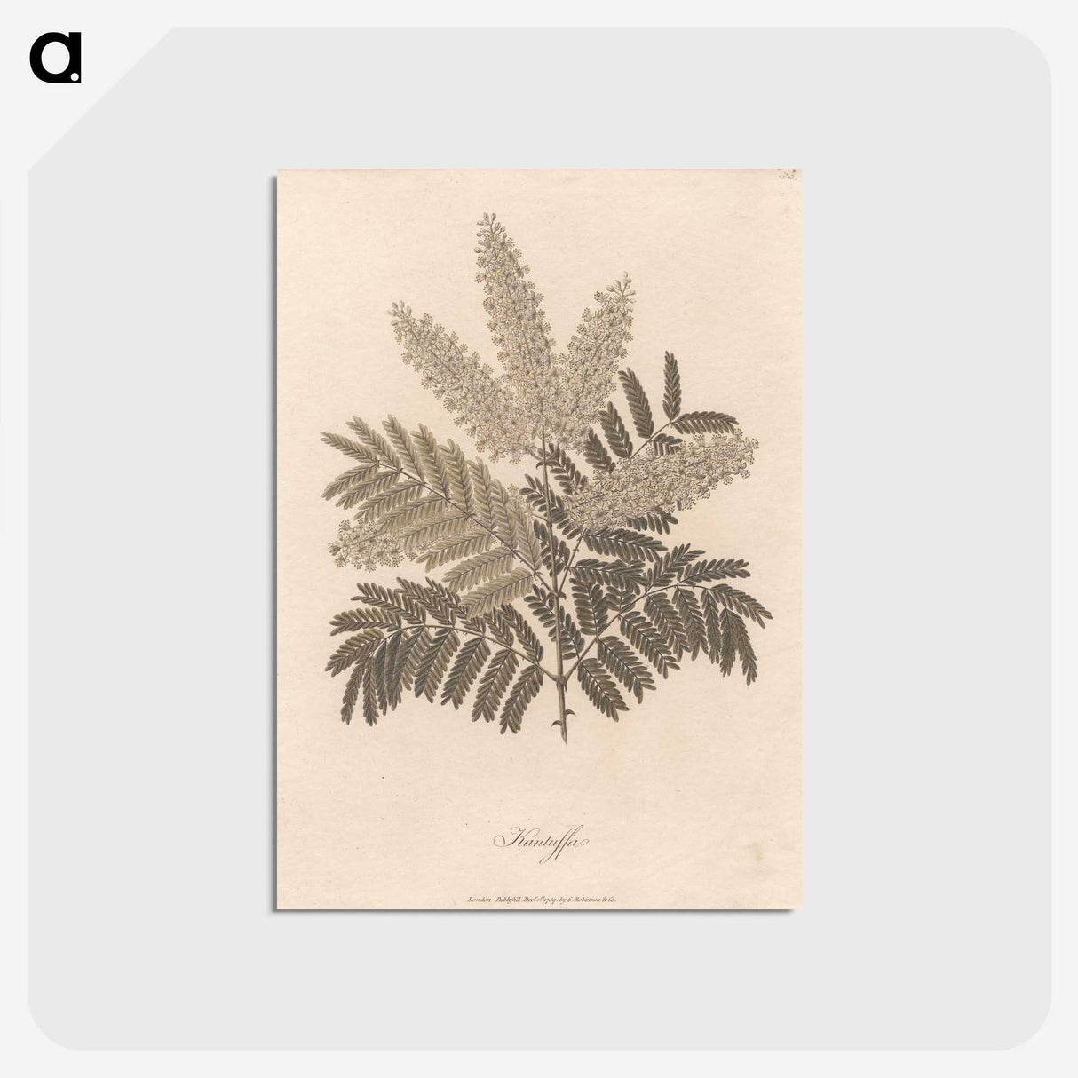 1-12_James-Heath_postcard