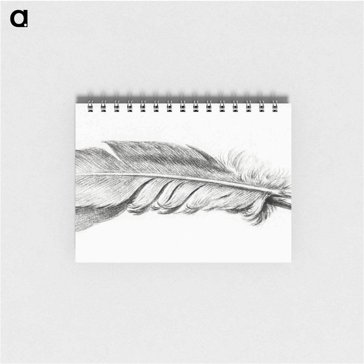 Feather - ジャン ベルナール Memo.