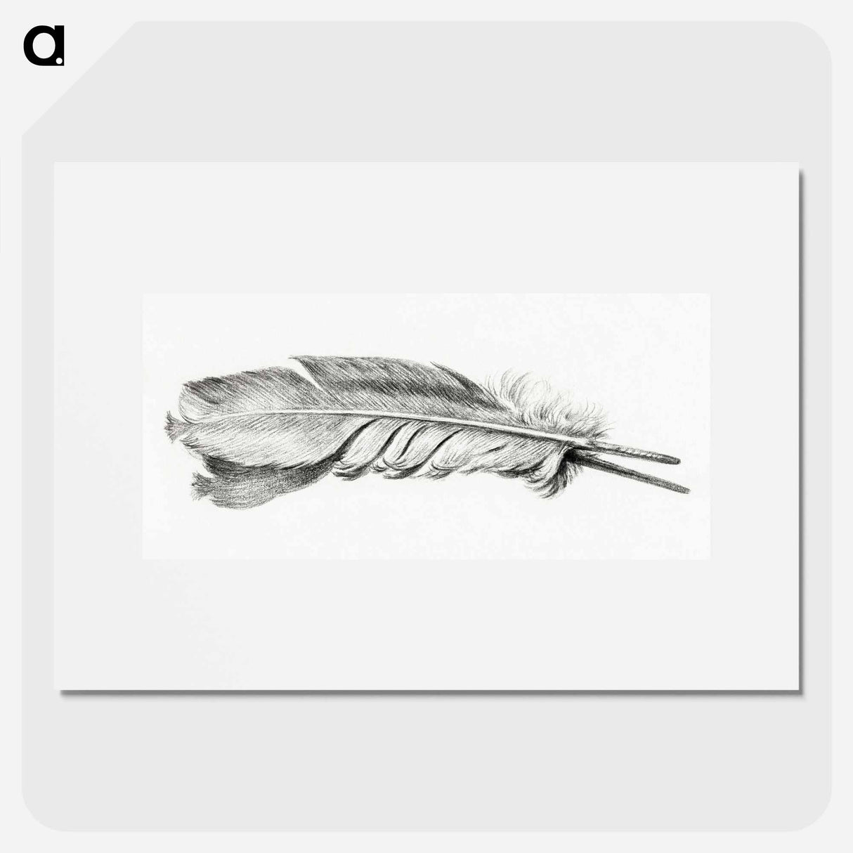 Feather - Jean Bernard Poster.